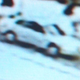 Illustration for article titled Help Identify The Car That Might Have Killed A Man And His Dog
